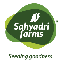 Sahyadri logo